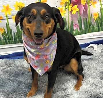 Photo of Whoopie