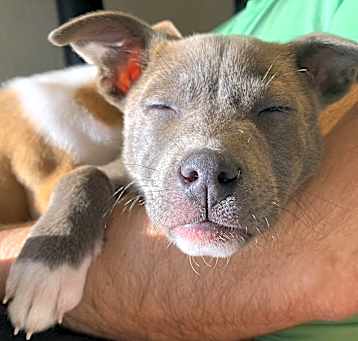 Photo of Tusa