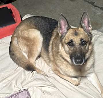 Photo of Sookie