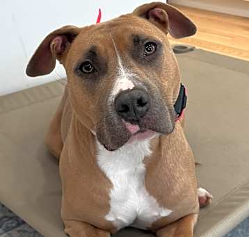 Photo of Molly