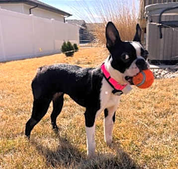 Photo of Bernard