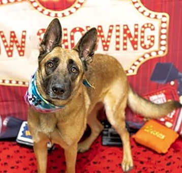 Photo of HARPER