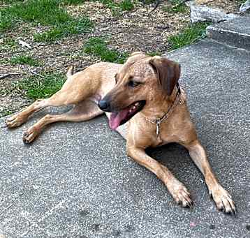 Photo of Sandy