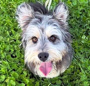 Photo of Lucas