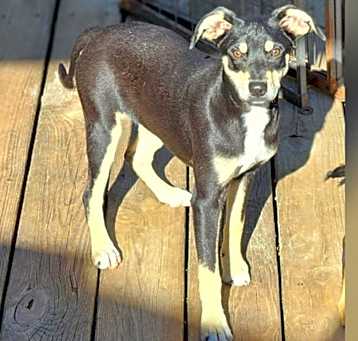 Photo of Winslee