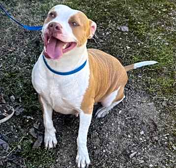 Photo of Betsy