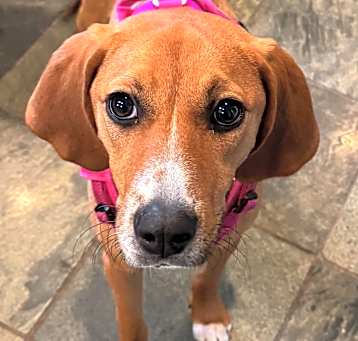 Photo of PROMISE