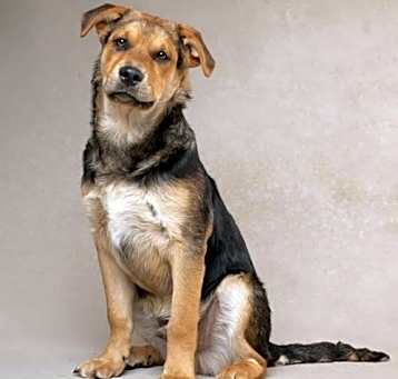 Photo of Ragnar - M