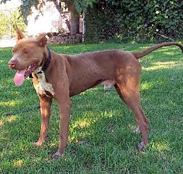 Photo of JAX