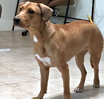 Photo of Rogue