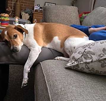 Photo of DOUG