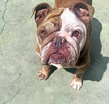 Photo of Ellie-Mae CP