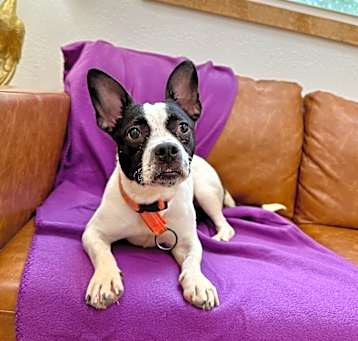 Photo of Axel