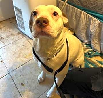Photo of JAX