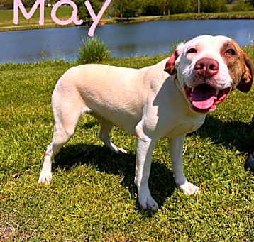 Photo of May