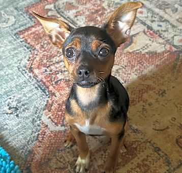Photo of Lexie