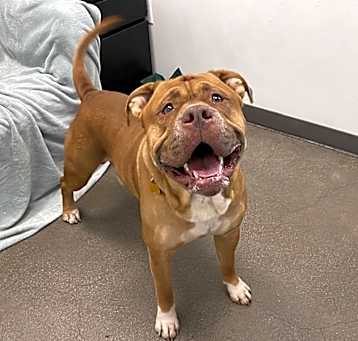 Photo of Zeus