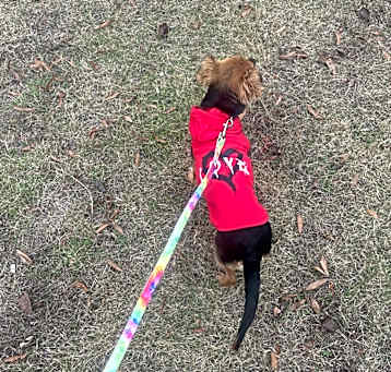 Photo of Zoe