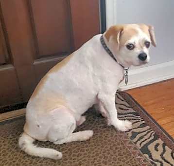 Photo of Reggie
