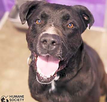 Photo of RIGGS