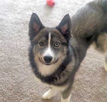 Photo of Xena