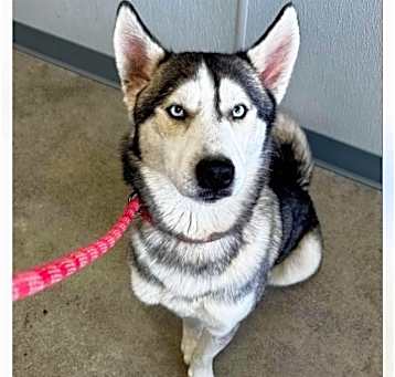 Photo of Zoom