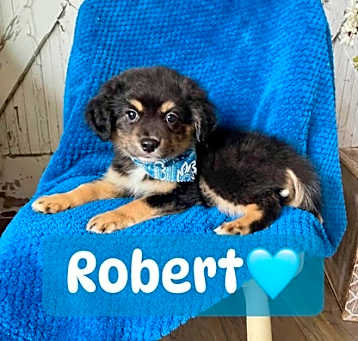 Photo of Robert