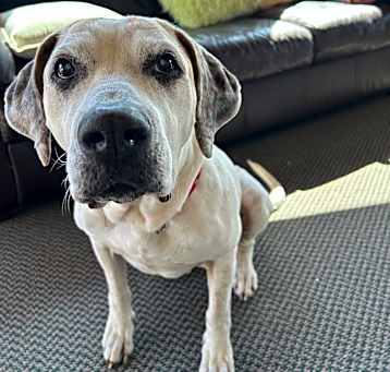Photo of Diamond
