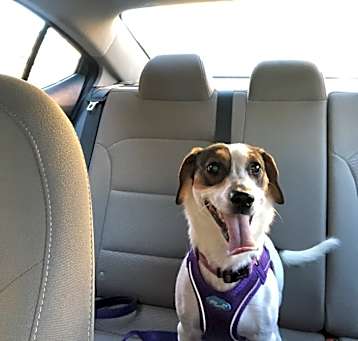 Photo of Marlee