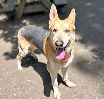 Photo of Bootsy