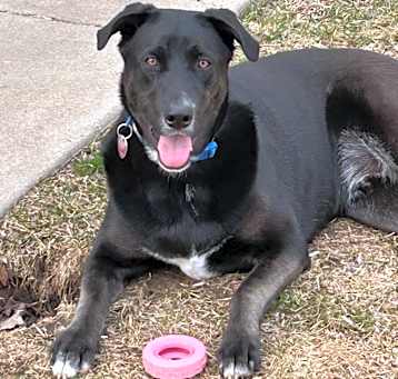 Photo of Clyde