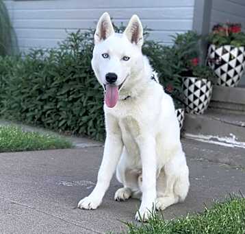 Photo of Aspen