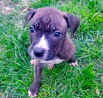 Photo of Frodo