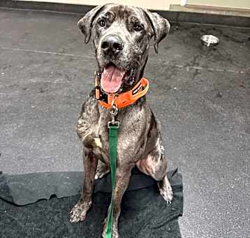 Photo of Zeus