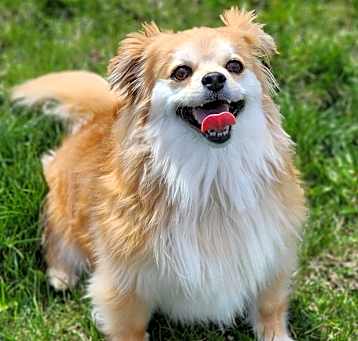 Photo of Kitzy