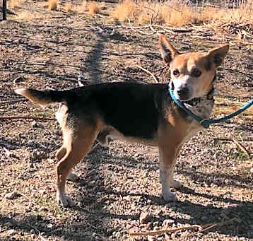Photo of Riley