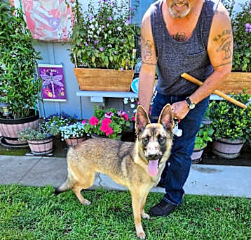 Photo of shep
