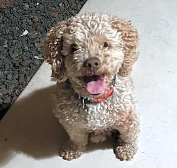 Photo of Walter