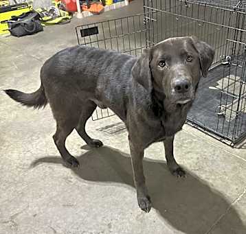 Photo of Vader