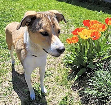 Photo of Athena