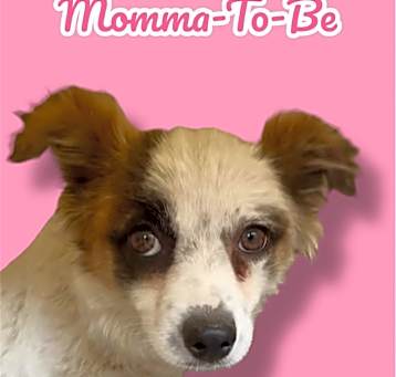 Photo of Momma