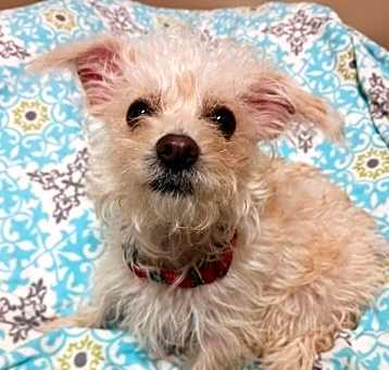 Photo of Coconut