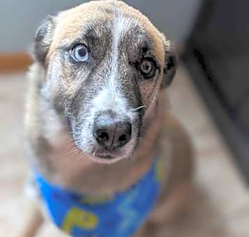 Photo of JAX
