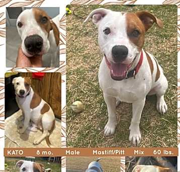 Photo of KATO