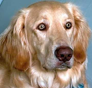 Photo of Max