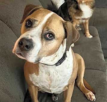 Photo of Daisy