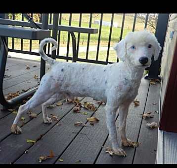 Photo of Jazz