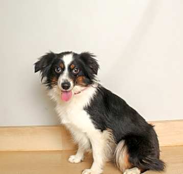 Photo of Mia D64367