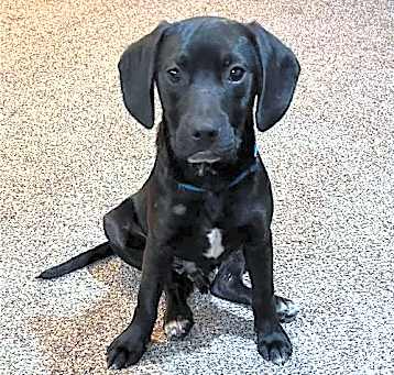 Photo of Axel