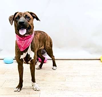 Photo of NYLA